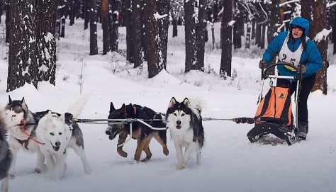 Каюры Челябинской области и их верные друзья сразятся в «водной» гонке