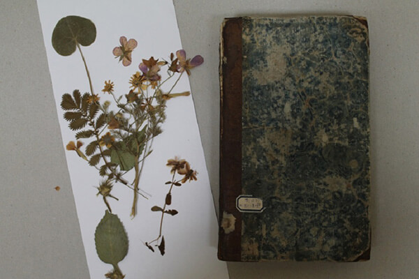 Привет из XIX века